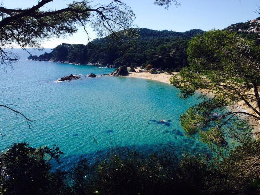 Appartements Les Pesquiers 2 Hyeres Plage Zewnętrze zdjęcie